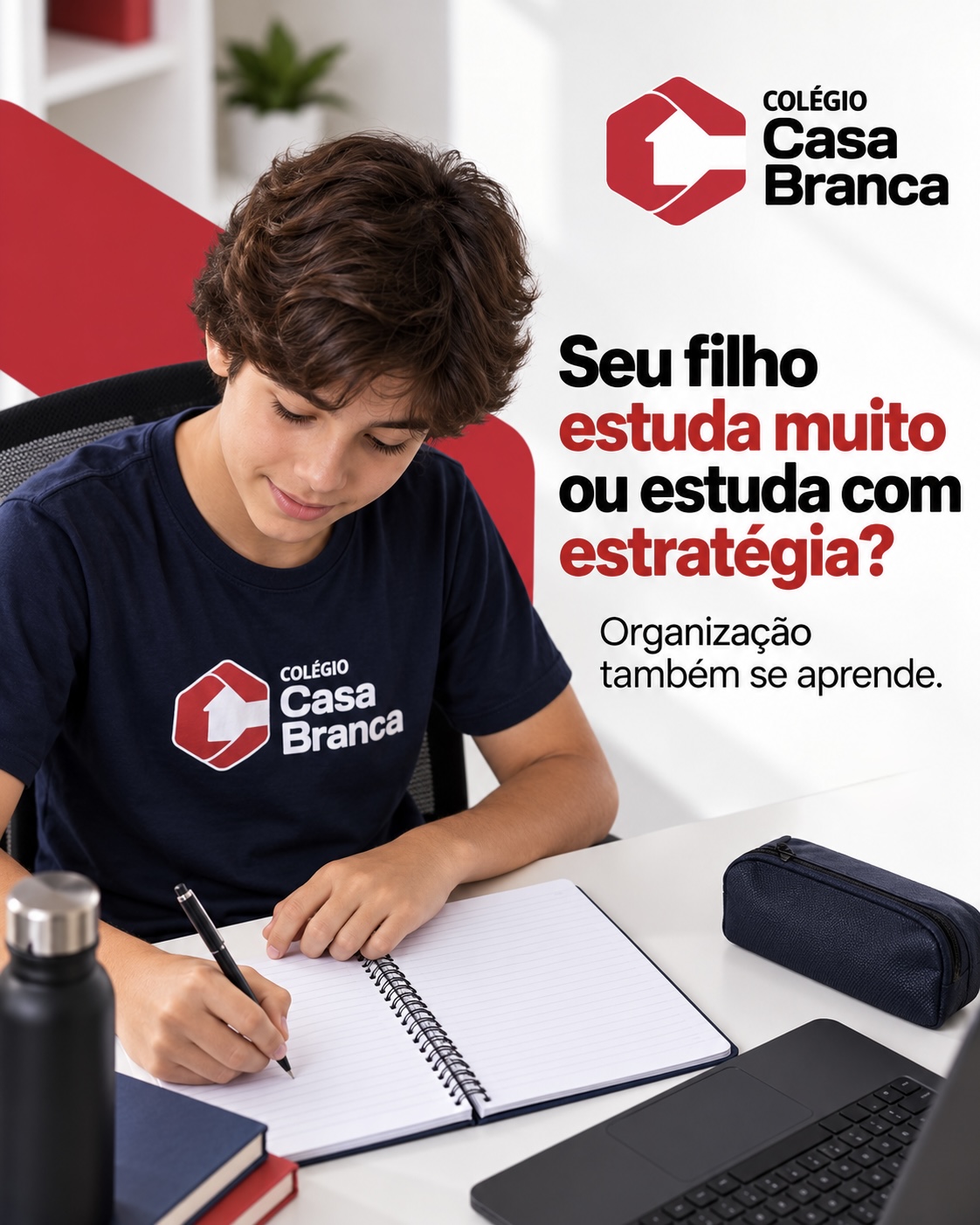 Organização dos estudos no Ensino Fundamental II